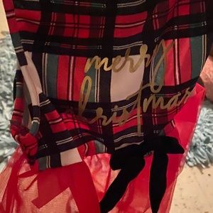 Doggie size large dress for Christmas